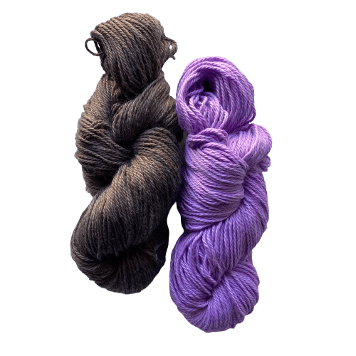 IMG-2724-removebg-preview